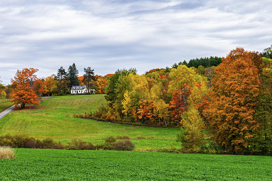 Autumn in Vermont in the Woodstock Countryside 7 Photograph by Ron Long Ltd Photography