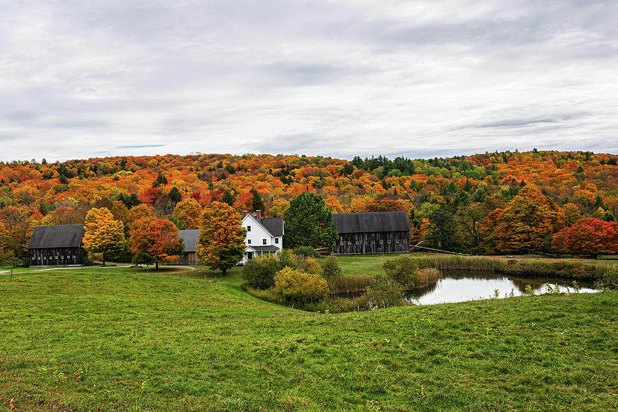 Autumn in Vermont in the Woodstock Countryside  8 Photograph by Ron Long Ltd Photography