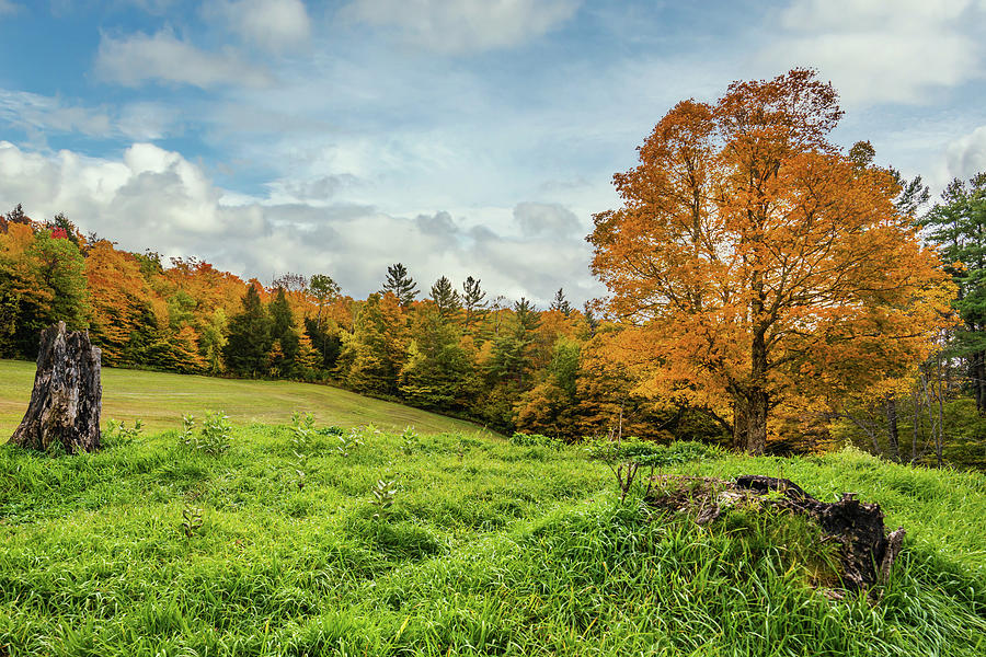Autumn in Vermont in the Woodstock Countryside Photograph by Ron Long Ltd Photography