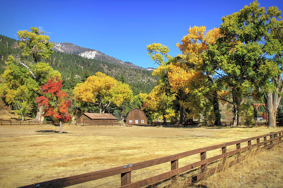 Barn Photograph - Autumn In Washoe Valley by Donna Kennedy