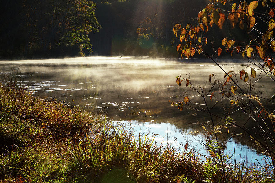 Autumn Inspiration Photograph by Karol Livote
