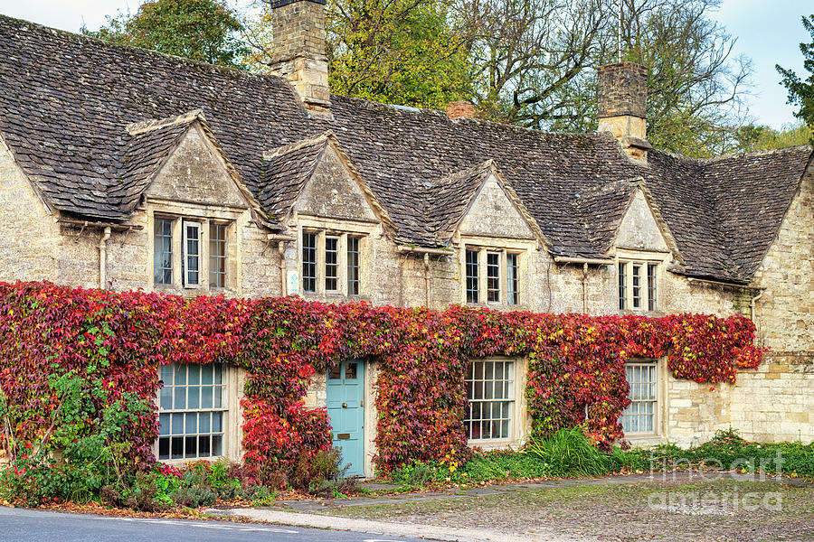 Autumn Ivy in Burford Photograph by Tim Gainey