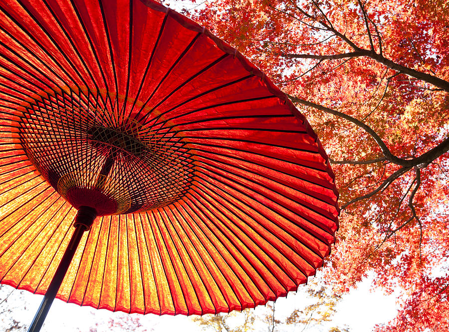 Autumn Japanese Umbrella Photograph by Ooyoo