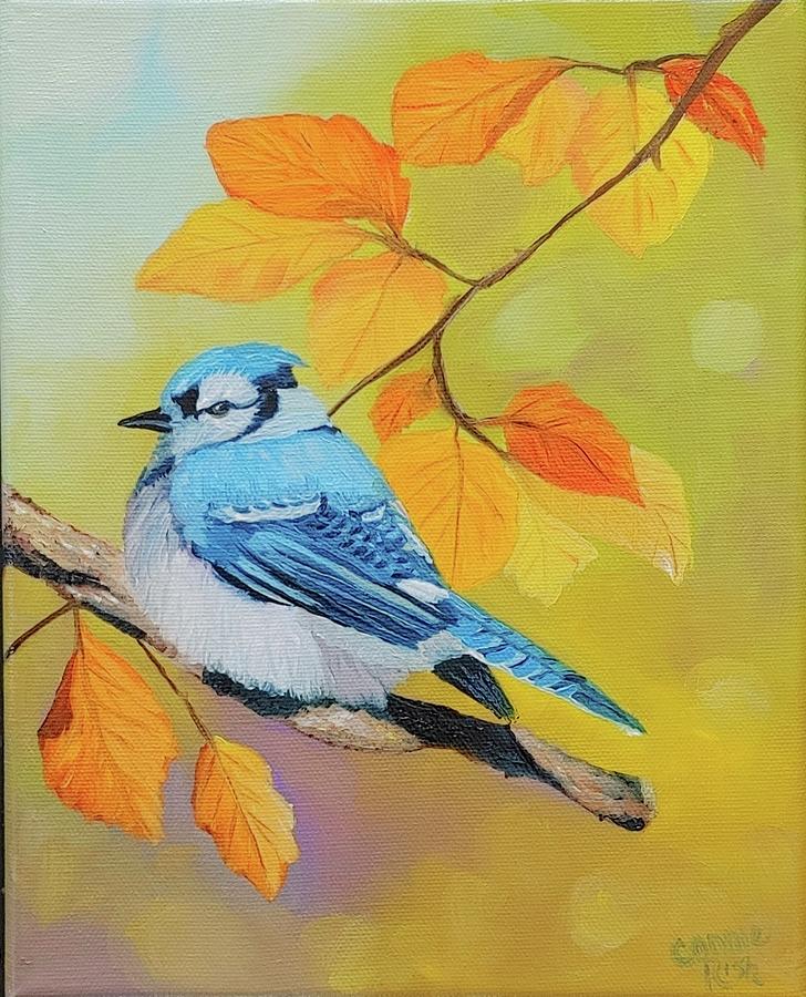 Autumn Jay Painting by Connie Rish