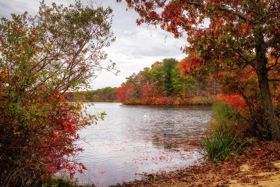 Autumn Photograph by John Randazzo