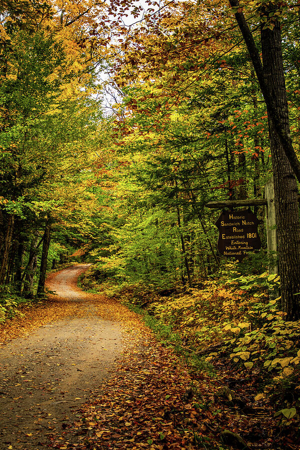 Autumn Journey Through Sandwich Notch Photograph by Jeff Folger Autumn Journey Through Sandwich Notch Photograph by Jeff Folger