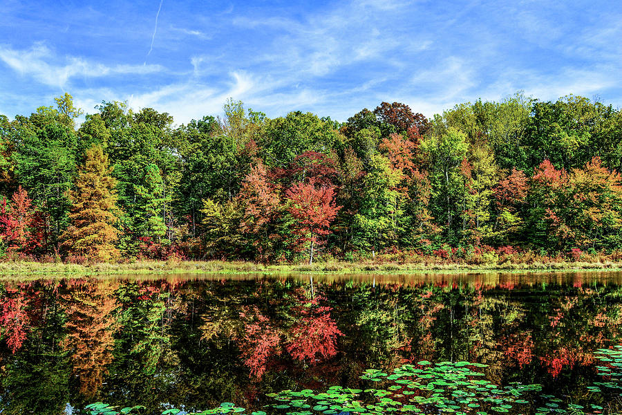 Autumn Lake Photograph by Addison Likins