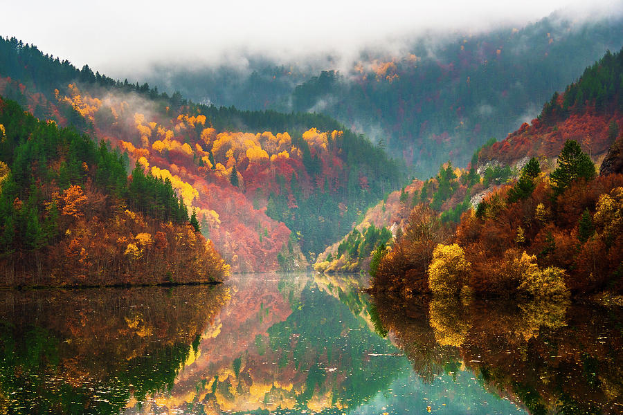 Autumn Lake Photograph by Evgeni Dinev