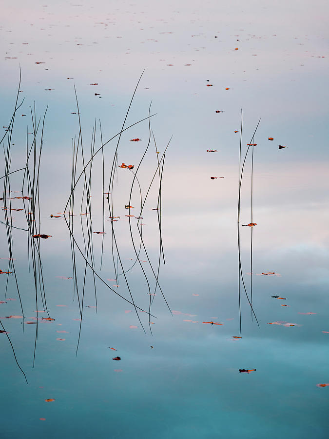Fall Photograph - Autumn Lake by Holger Nimtz