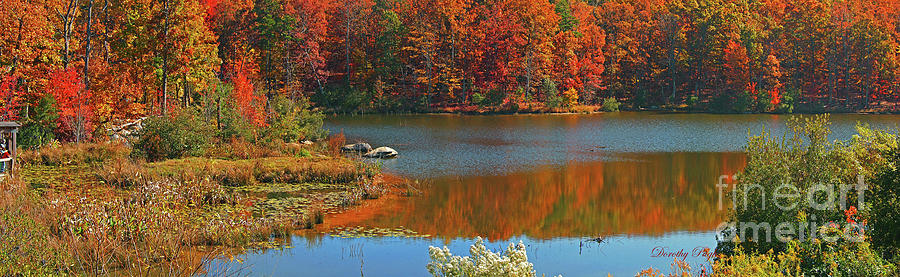 Autumn Lake Panorama Photograph by Dorothy Pugh