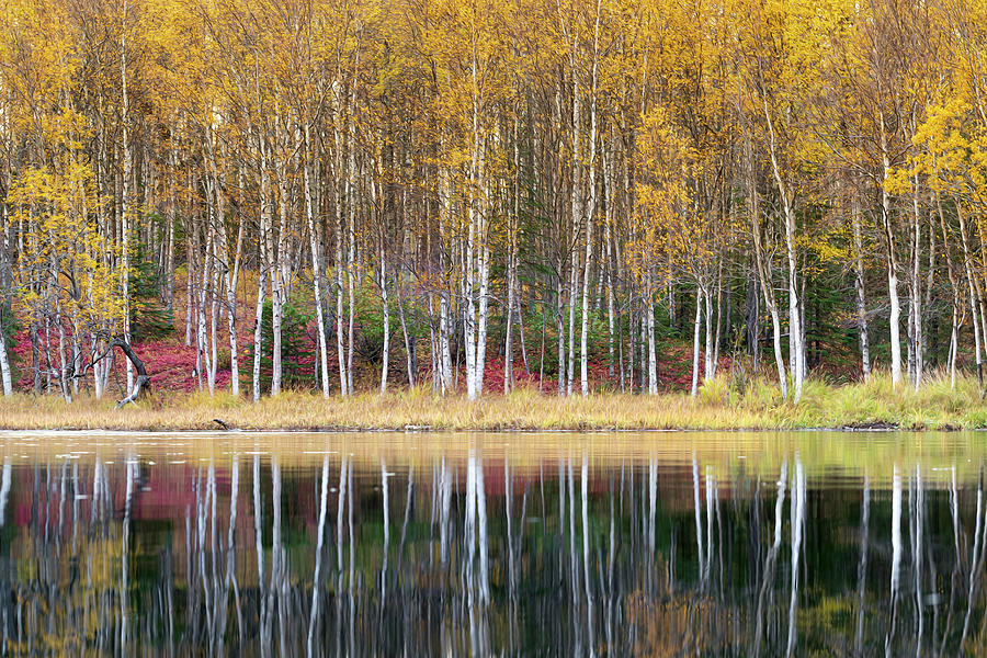 Autumn Lake Photograph by Scott Slone