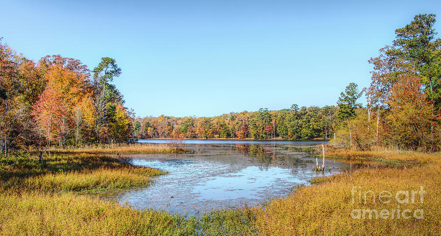 Autumn Lake Side Scene Photograph
