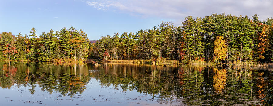 Autumn Lake View Photograph by Elvira Peretsman