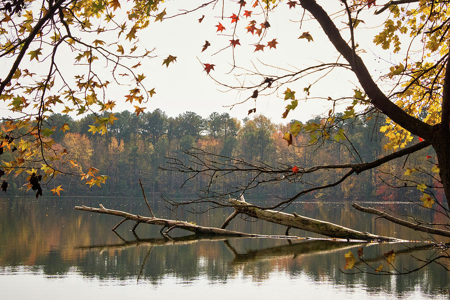 Autumn Lake View Photograph