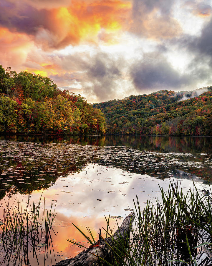 Autumn Lakeside Sunset Photograph by SC Shank