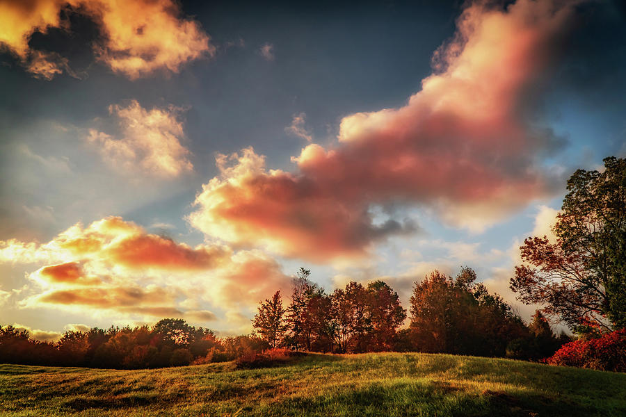 Autumn landscape and pink clouds Photograph by Lilia S