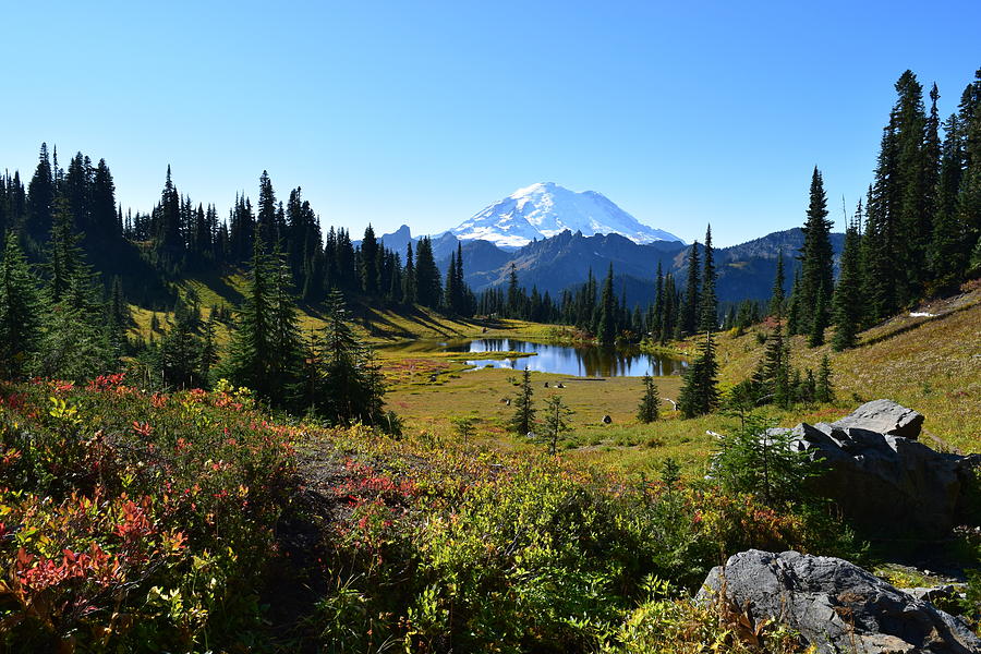 Autumn Landscape at Mount Rainier Photograph by Lkb Art And Photography