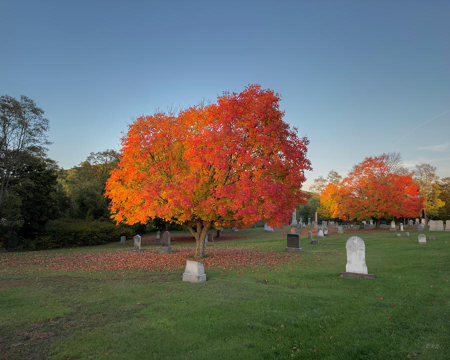 Autumn Landscape Color Photograph by David Gordon