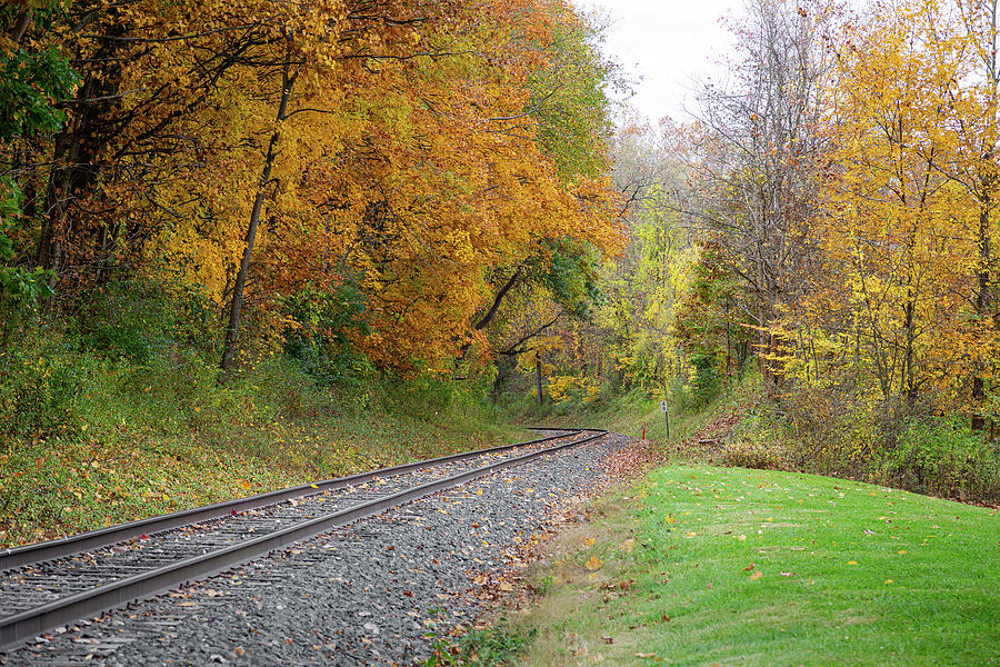 Autumn Landscape Photograph