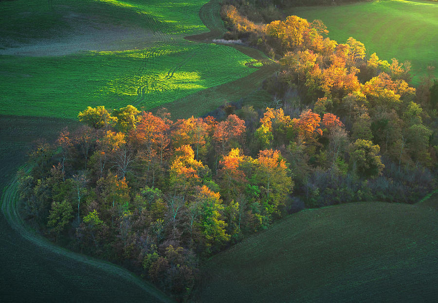 Heart Shaped Woods in Autumn Photograph by Stefano Orazzini