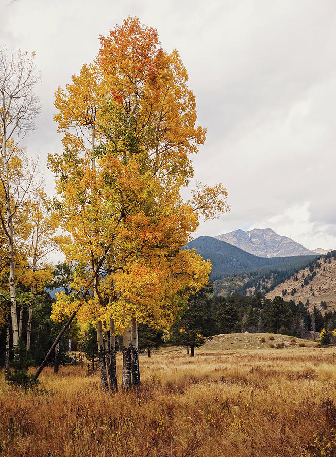 Autumn Landscape In Rocky Mountains Colorado Photograph by Dan Sproul