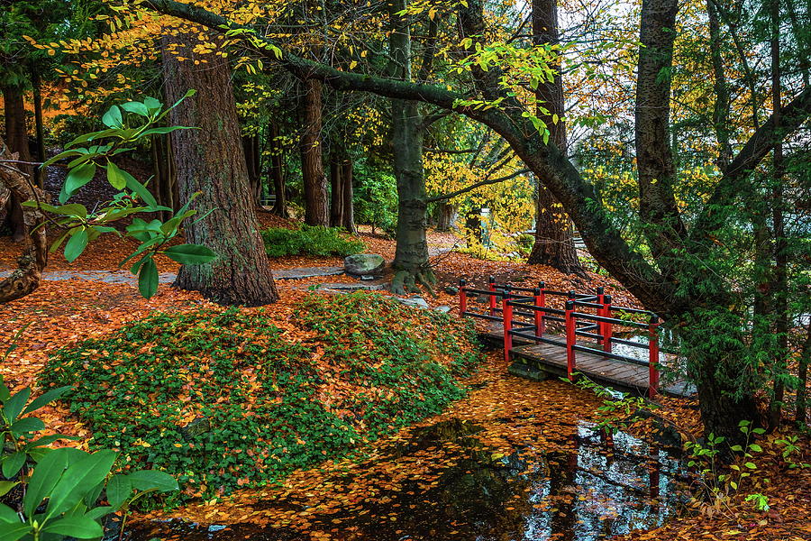 Autumn landscape in the city park  Photograph by Alex Lyubar