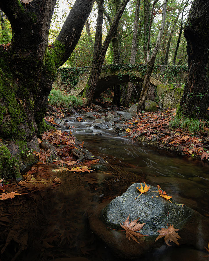 Autumn landscape with river flowing below a stoned ancient  bridge Photograph by Michalakis Ppalis