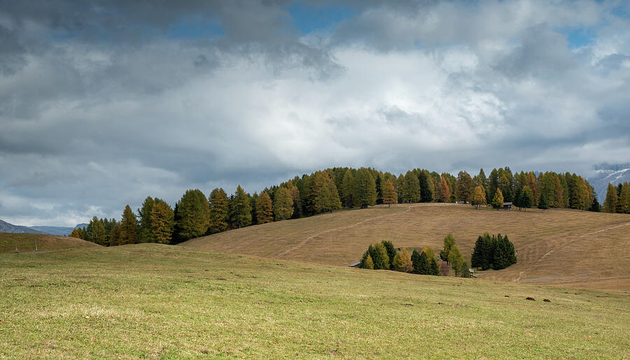 Autumn landscape  meadow field and forest trees. Cloudy day. Photograph by Michalakis Ppalis