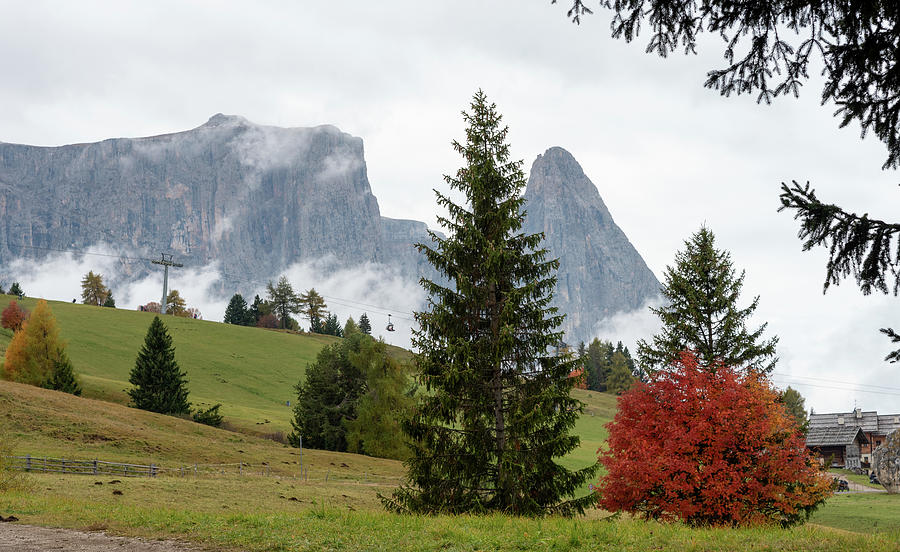 Autumn landscape  meadow field and trees. Dolomite rocky peak. N Photograph by Michalakis Ppalis