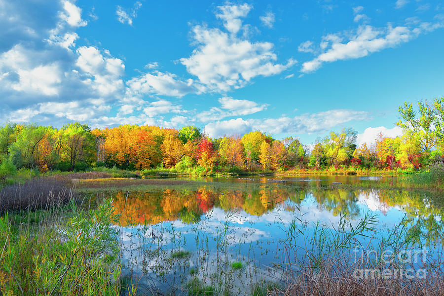 Autumn Landscape University of Waterloo Photograph by Charline Xia