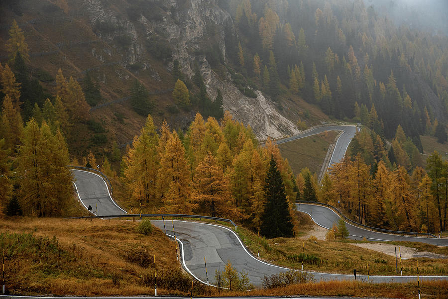 Autumn landscape with curved road. Passo di falzarego South Tyrol in Italy Photograph by Michalakis Ppalis