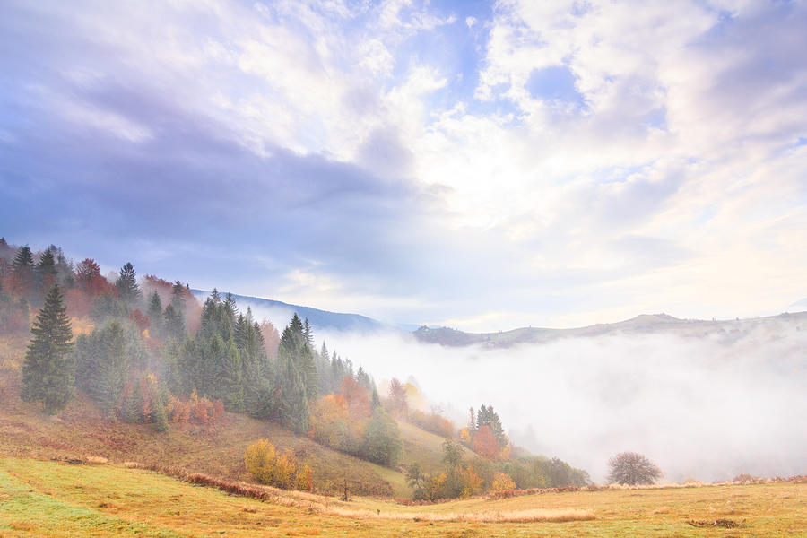 Autumn landscape with fog in the mountains. Fir forest on the hills. Carpathians, Ukraine, Europe Photograph by VeryBigAlex