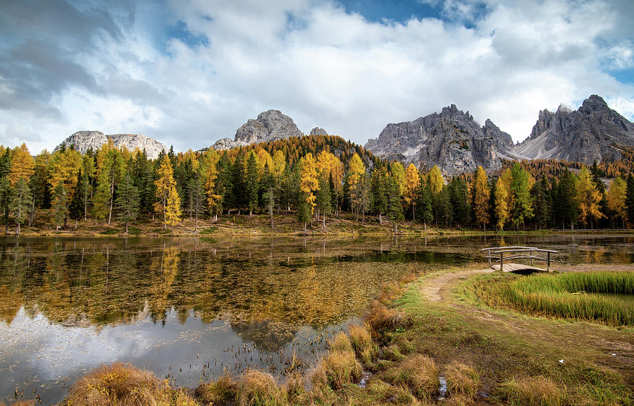 Autumn landscape with mountains and trees Photograph by Michalakis Ppalis