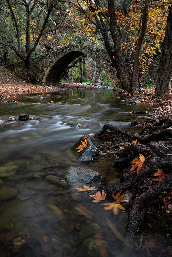 Autumn landscape with river flowing under a stoned bridge Photograph by Michalakis Ppalis