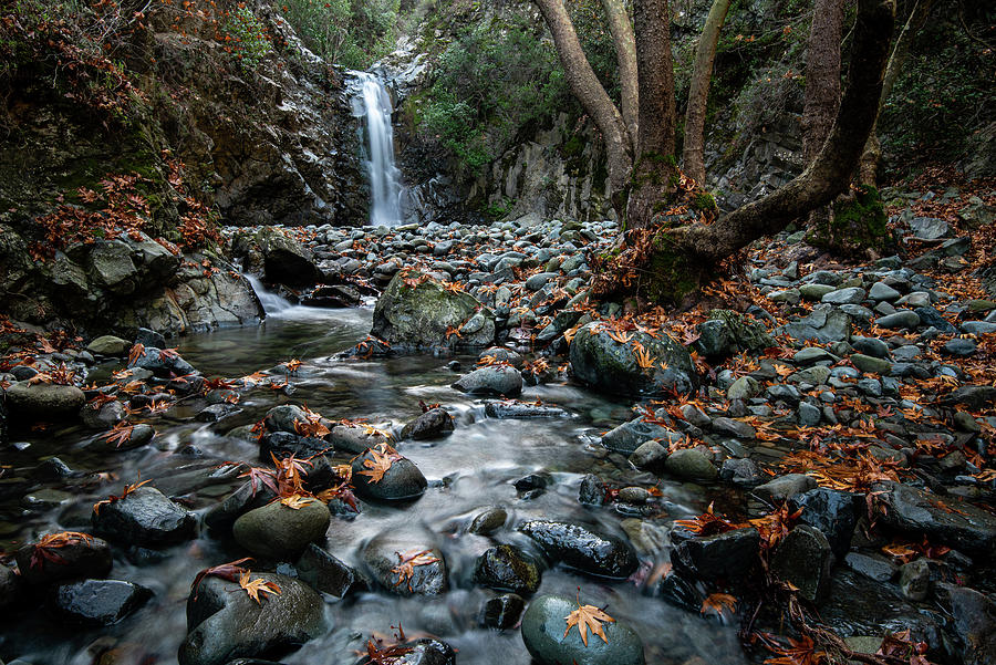 Autumn landscape and waterfall and yellow leaves Photograph by Michalakis Ppalis