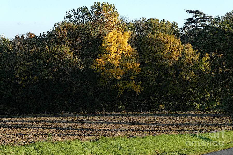 Autumn Landscapes 3 Photograph