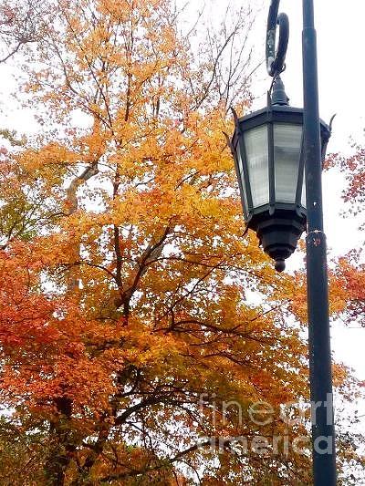 Autumn Lantern Photograph