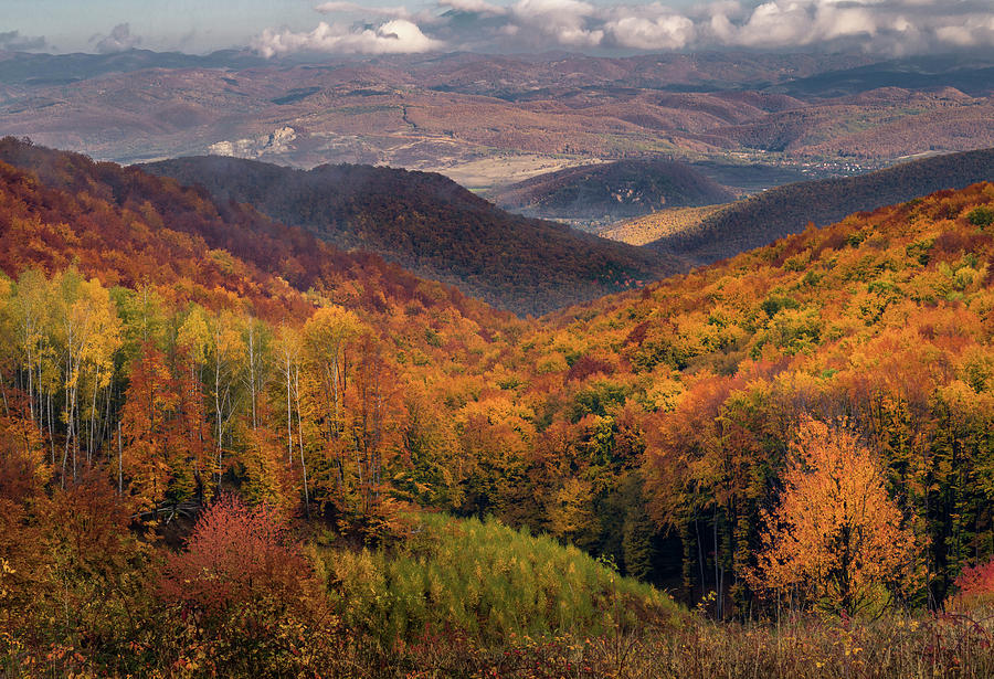 Autumn layers Photograph by Cosmin Stan