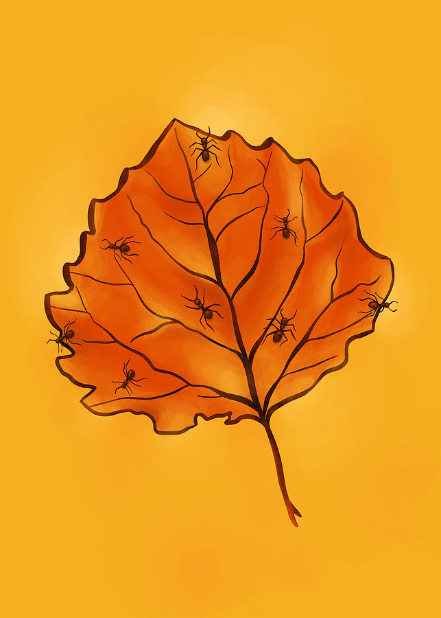Fall Digital Art - Autumn Leaf And Ants In Yellow Orange by Boriana Giormova