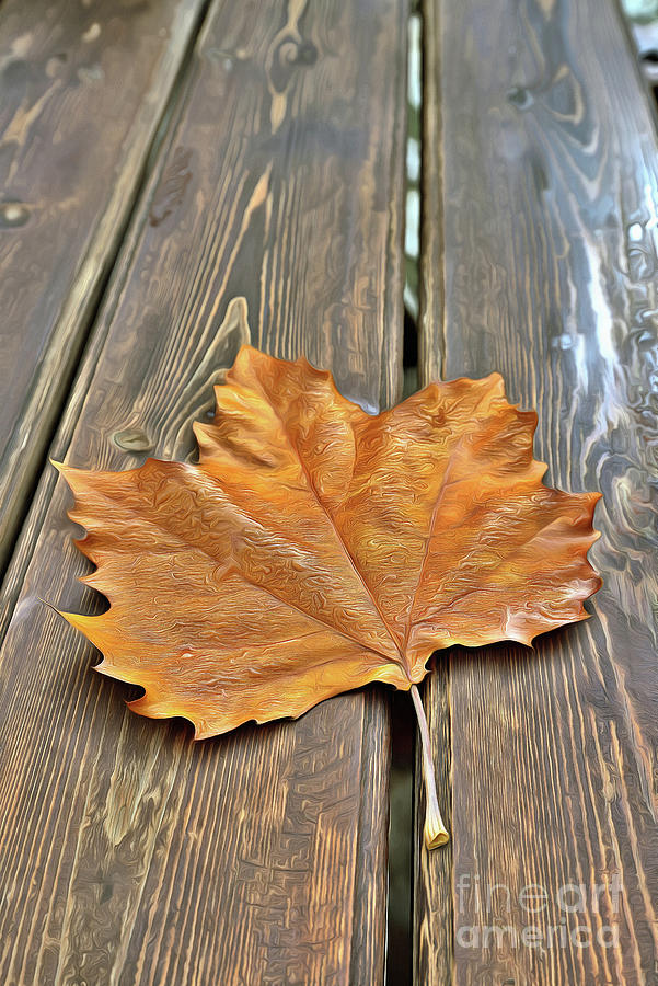 Autumn leaf on a bench Painting by George Atsametakis