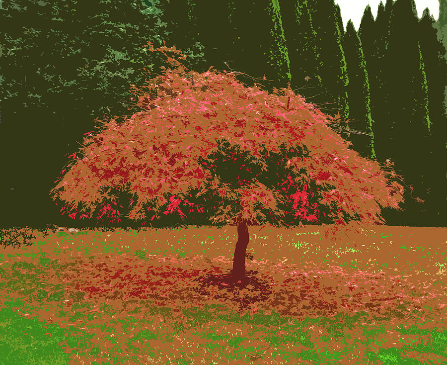 Autumn Leaves 4 Digital Art