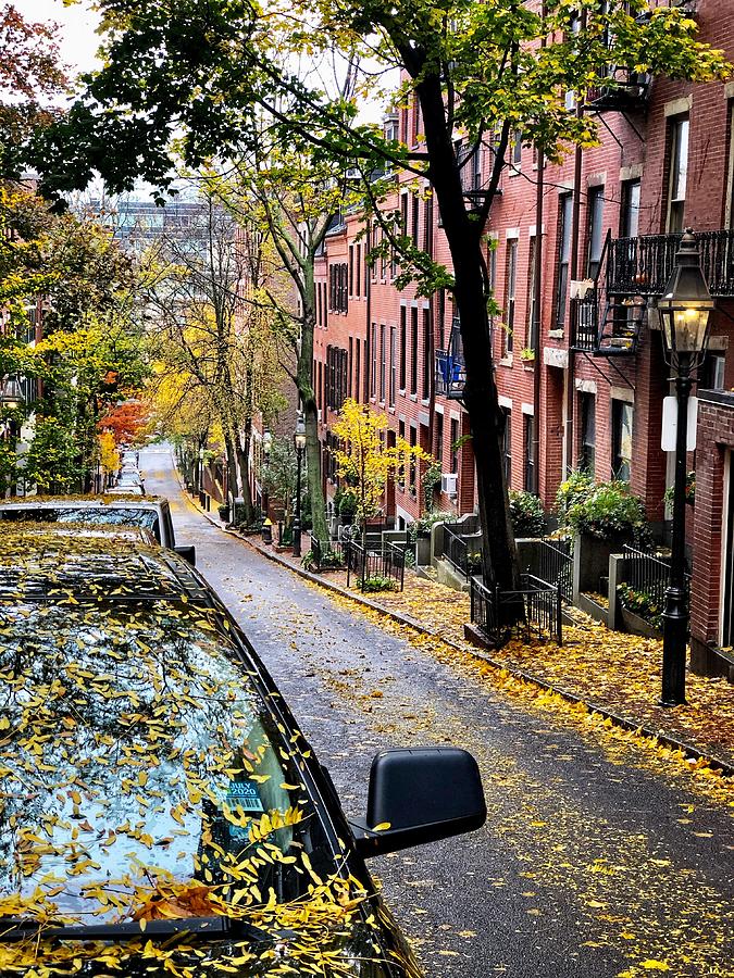 Beacon Hill Boston Autumn Leaves and Row Houses by Tammi McElroy