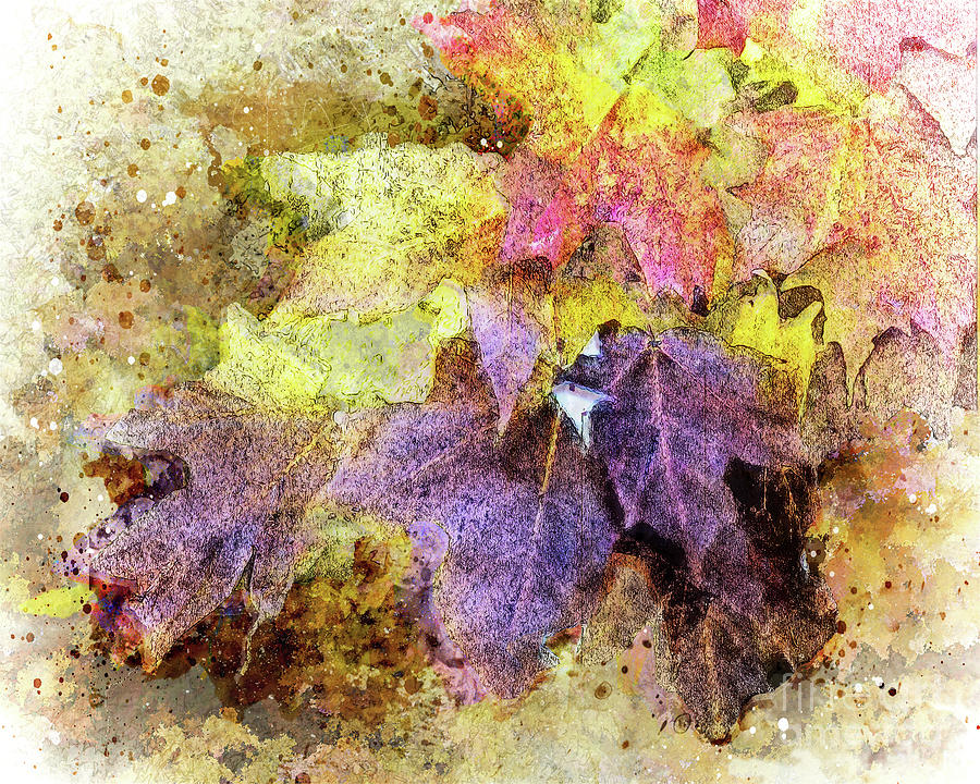 Autumn Leaves Digital Art by Anthony Ellis