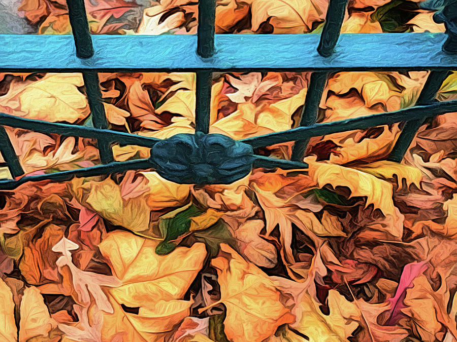 Autumn Leaves At The Gate Photograph