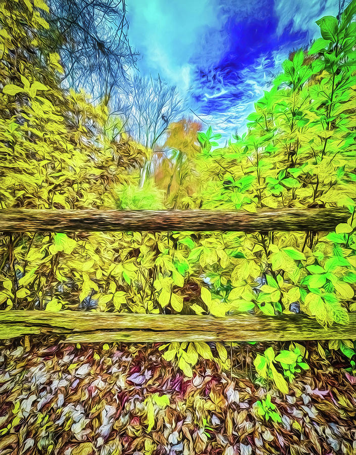 Autumn Leaves At The Wooden Fence Photograph by Gary Slawsky