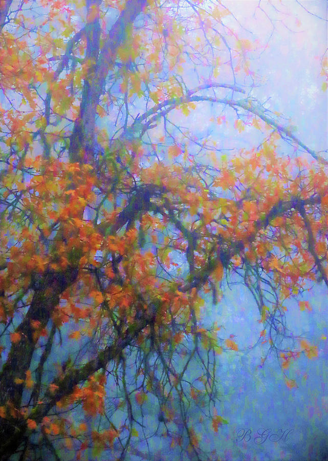 Autumn Leaves in the Mist - 5 in a Series - Nature Photography - Fall Photograph by Brooks Garten Hauschild