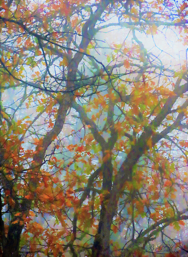 Autumn Leaves in the Mist - 6 in a Series - Nature - Fall in the Garden - Trees Photograph by Brooks Garten Hauschild