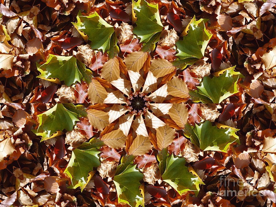 Autumn Leaves Kaleidoscope 1 Photograph