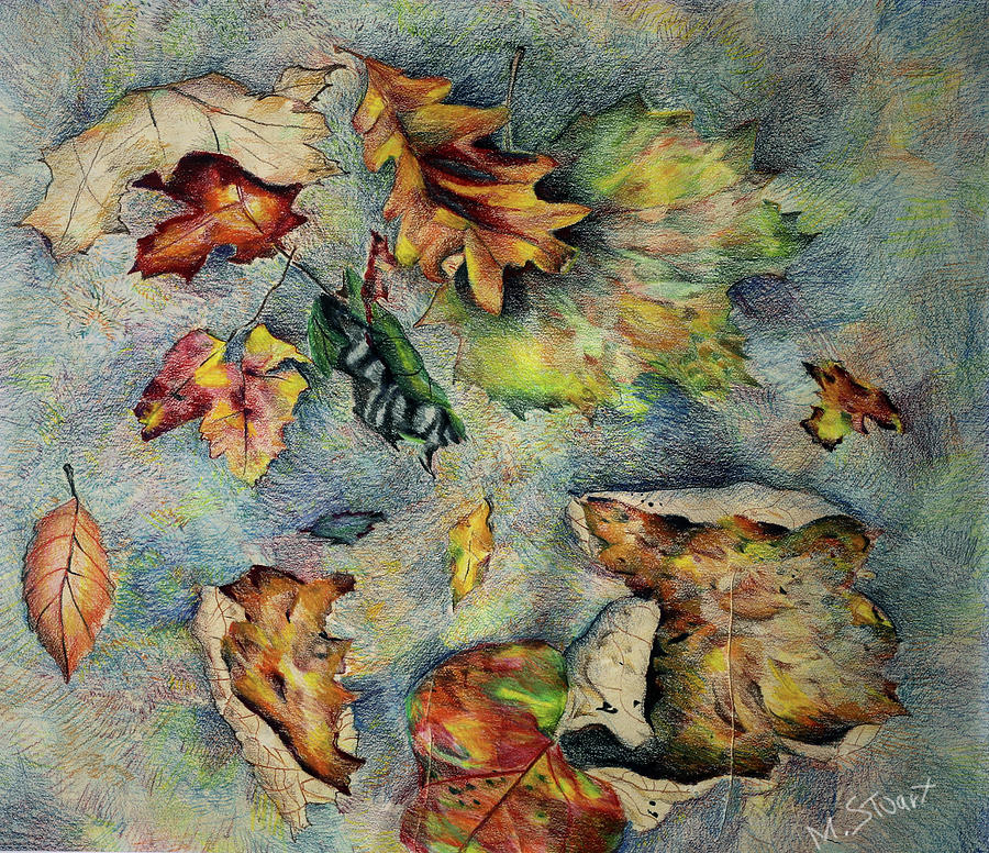 Color Pencil Drawing - Autumn Leaves by Matthew Stuart