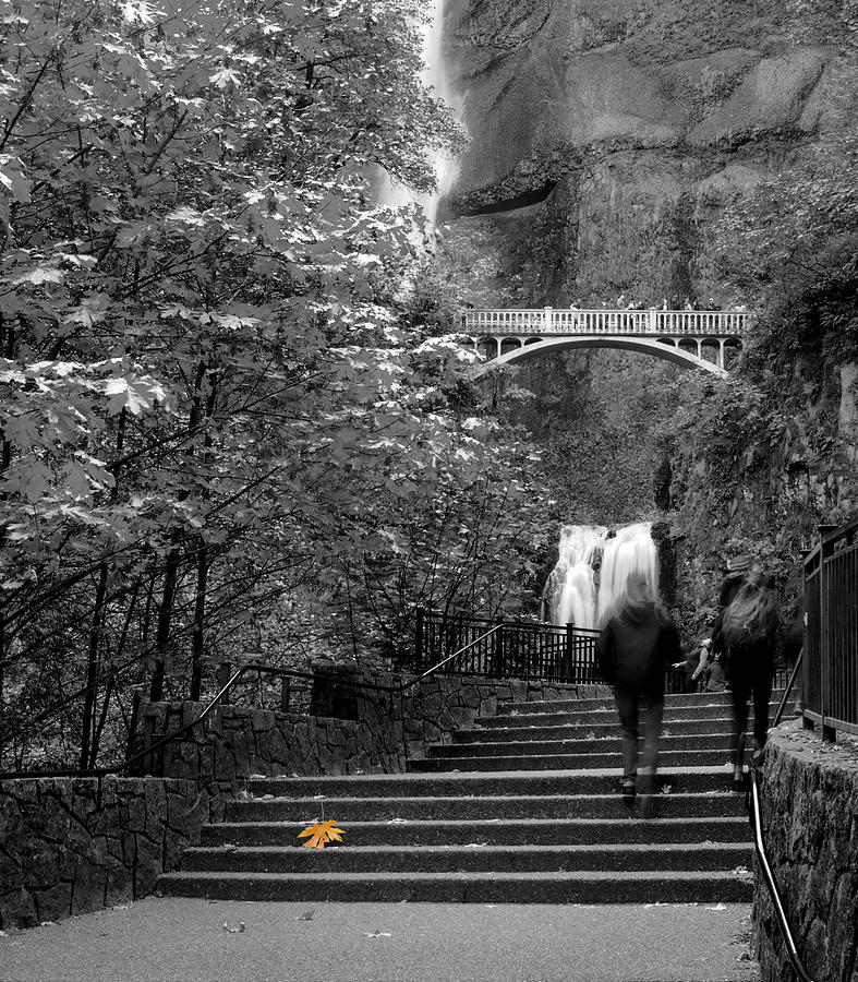 Autumn Leaves Multnomah Falls by Rospotte Photography Autumn Leaves Multnomah Falls by Rospotte Photography